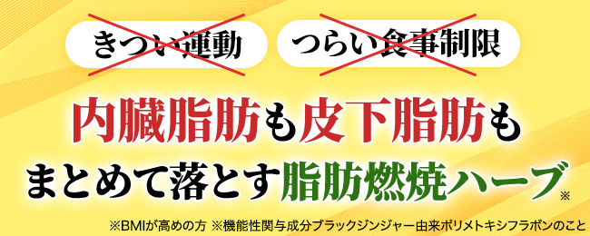 内臓脂肪も皮下脂肪もまとめて落とす脂肪燃焼ハーブ