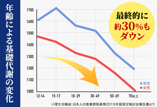 年齢による基礎代謝の変化