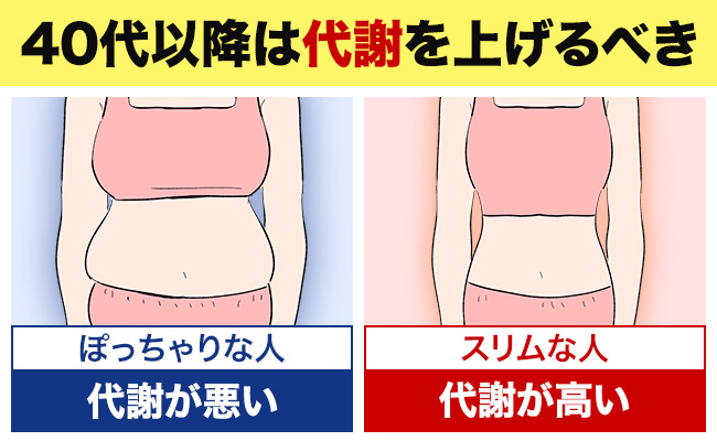 40代以降は代謝を上げるべき