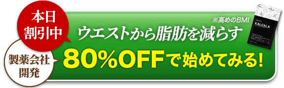 本日割引中 ウエストから脂肪を減らす 80%OFFで始めてみる！